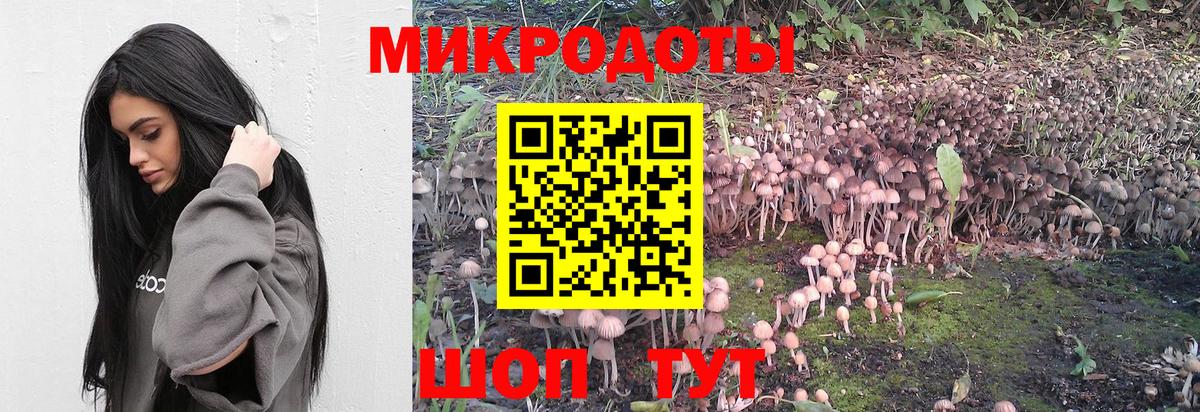 Галлюциногенные грибы мухоморы Коммунар