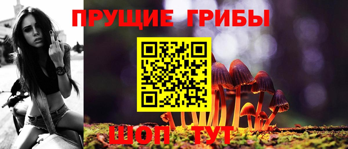 Коммунар  Галлюциногенные грибы Cubensis  Галлюциногенные грибы прущие грибы  Вход с VPN 